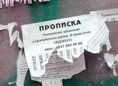 Разное: Закон о резиновых квартирах